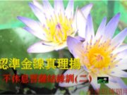 不休息菩薩結緣訓【二】認準金線真理揚 【王麗雲講師】【八德佛堂】【2020年】