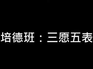 三表五愿【2020年】